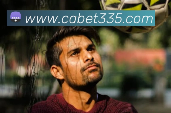 ca亚洲城APP 封面图